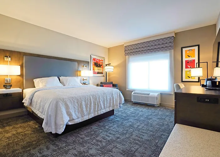 Hampton Inn & Suites Lubbock University, Tx
