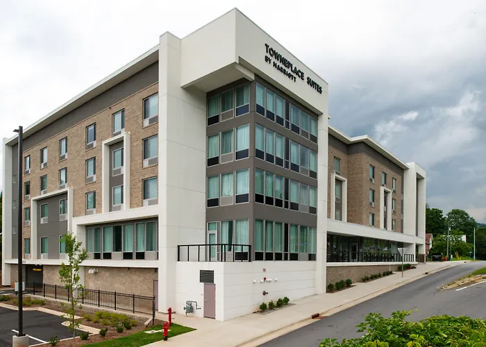 Towneplace Suites By Marriott Asheville Downtown