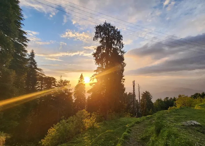 Smarthill-Green Forest View