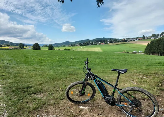 Hotel-Gasthof Zum Oberen Wirt