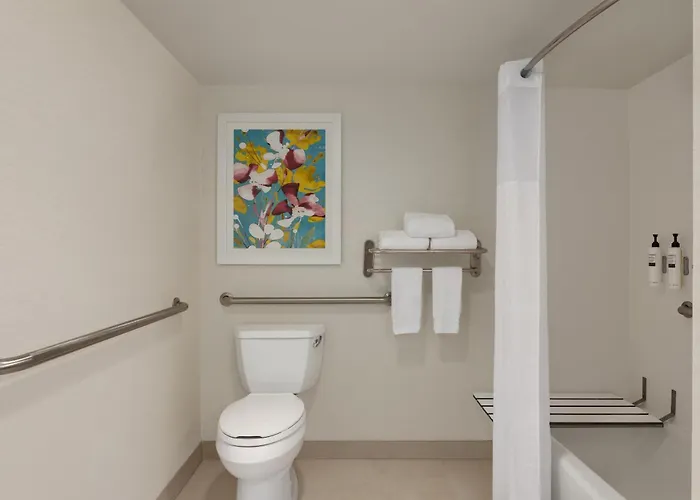 Hilton Garden Inn Fort Myers Airport/Fgcu
