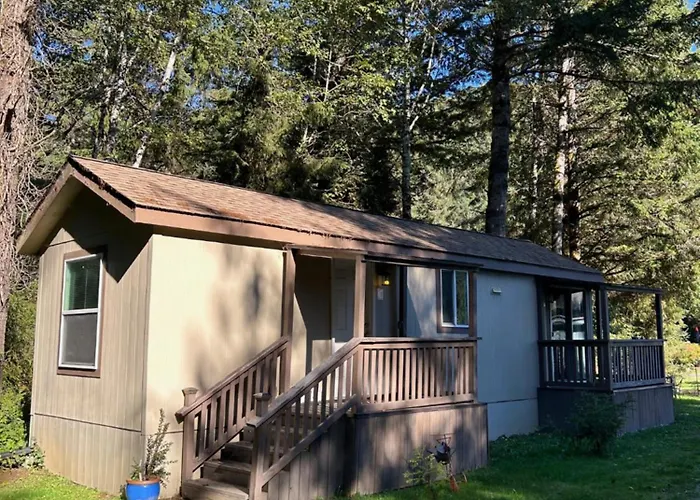 The Tall Trees Cabin