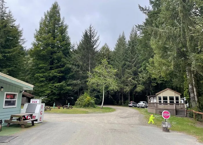 The Tall Trees Cabin