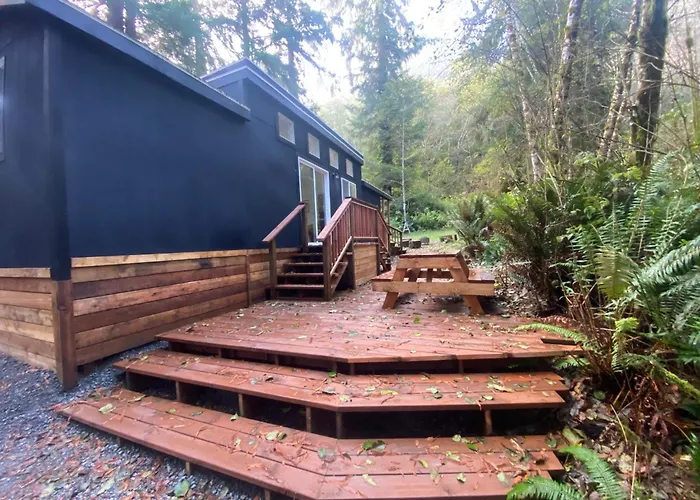 The Black Bear Cabin