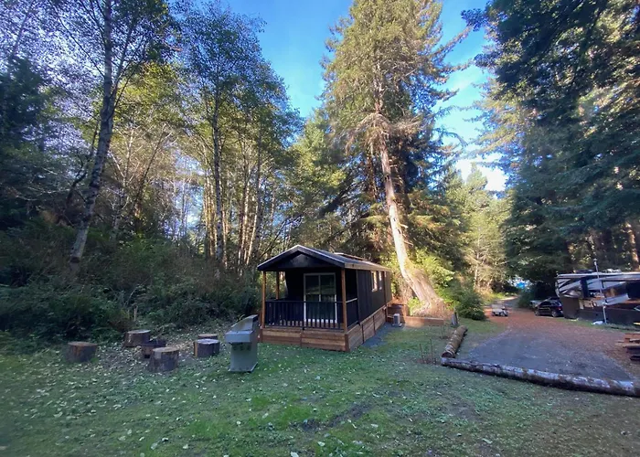 The Black Bear Cabin