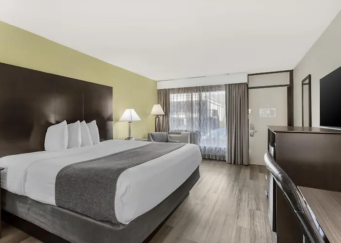 Best Western Asheville-Blue Ridge Parkway