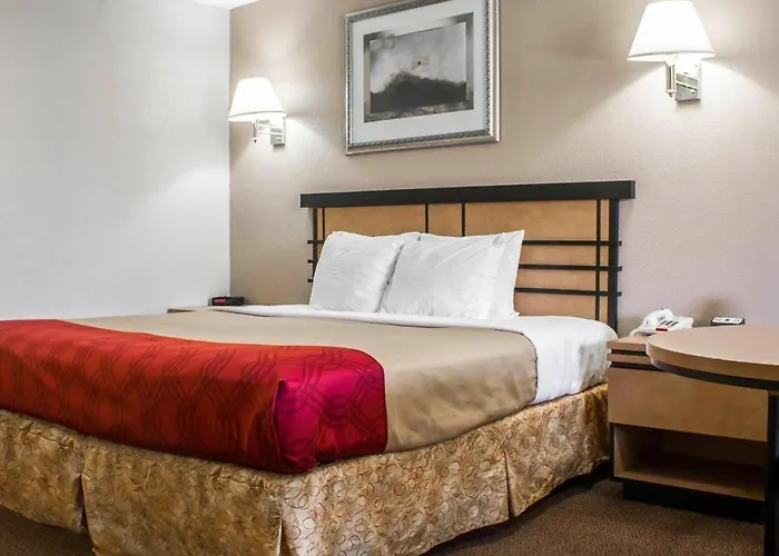 Econo Lodge Inn & Suites Colonie Center Mall