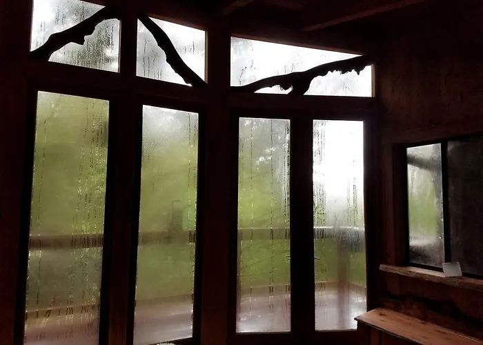Secluded Treehouse Hideaway With Firepit And Forest Views In Bodega Bay, California