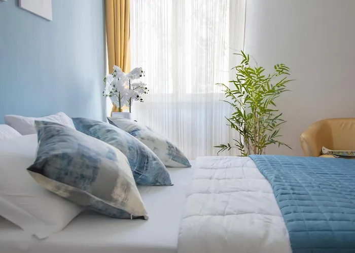 Actinia Accommodation