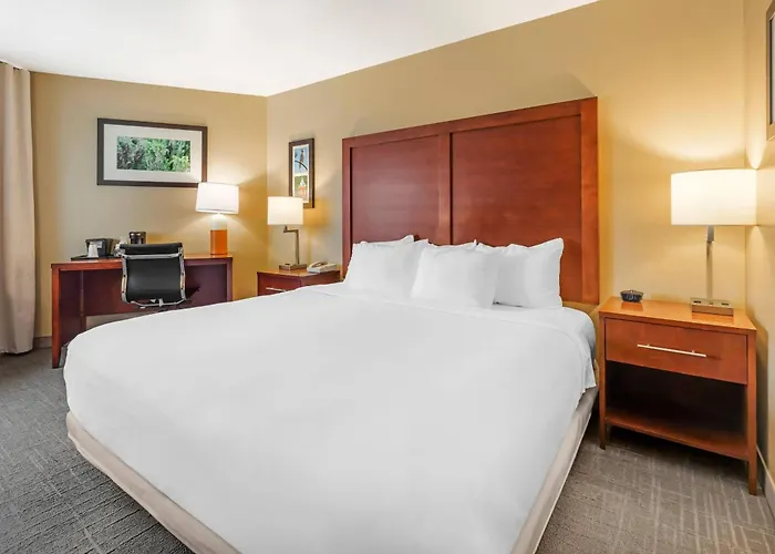 Comfort Inn Missoula Near University