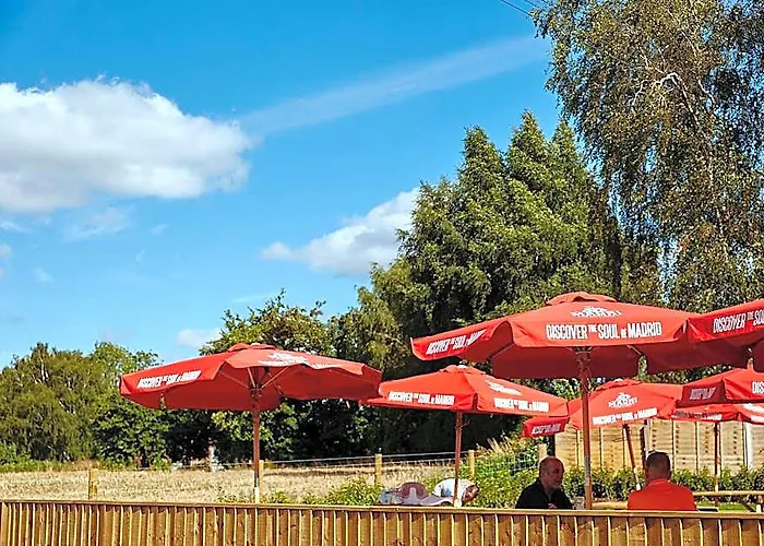 The Red Lion, Madley