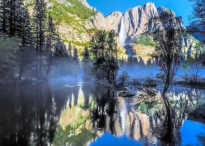 The Redwoods In Yosemite