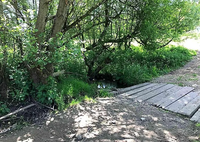 Shepherds Huts Ham Hill, 2 Double Beds, Bathroom, Lounge, Diner, Kitchen, Love Dogs & Cats Looking Out To Lake And By Ham Hill Country Park Plus Parking For Large Vehicles Available Also Great Deals On Workers Long Term This Is The Place To Relax And