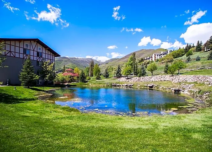 Chateau Villas At Zermatt Resort Vacation Properti