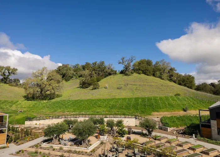 Appellation Healdsburg