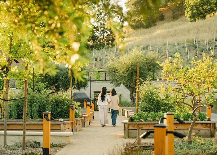 Appellation Healdsburg