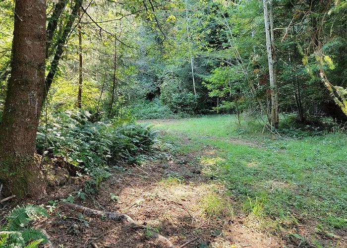 Redwood Retreat