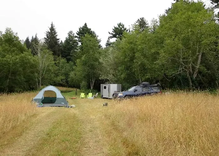 Cozy Campervan Rental On The Banks Of The Elk River In Eureka, California