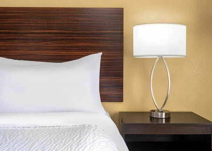 Garner Hotel Clarksville Northeast By Ihg