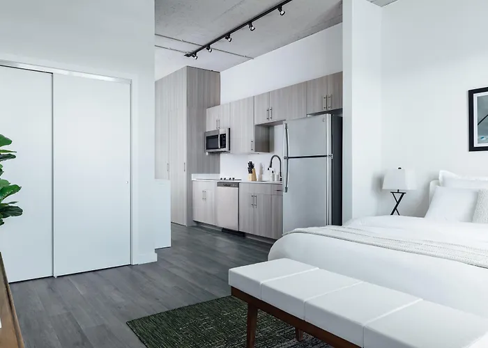 Mint House St Petersburg By Kasa