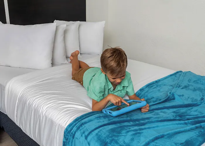 Oasis Bay Suites, Tampa, Busch Gardens, Usf