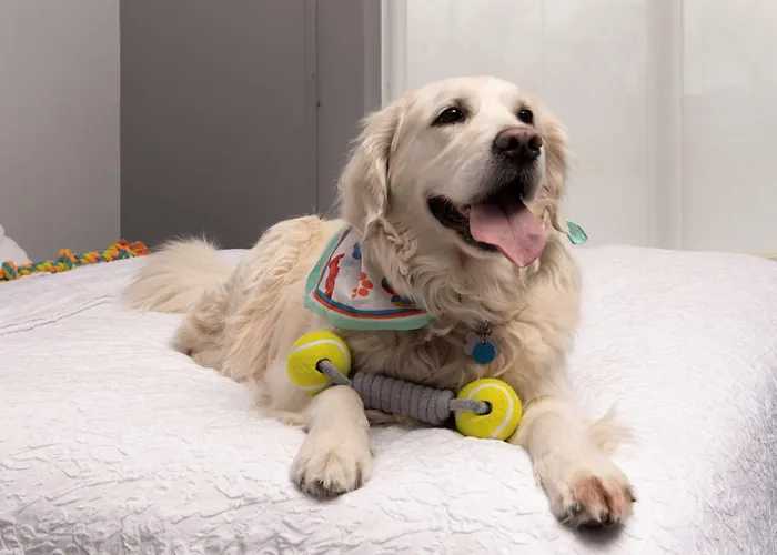 Hampton Inn & Suites Rapid City Rushmore, Sd