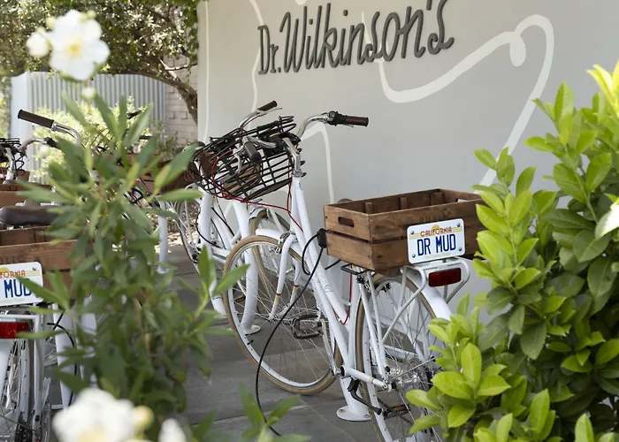 Dr Wilkinsons Backyard Resort And Mineral Springs A Member Of Design Hotels
