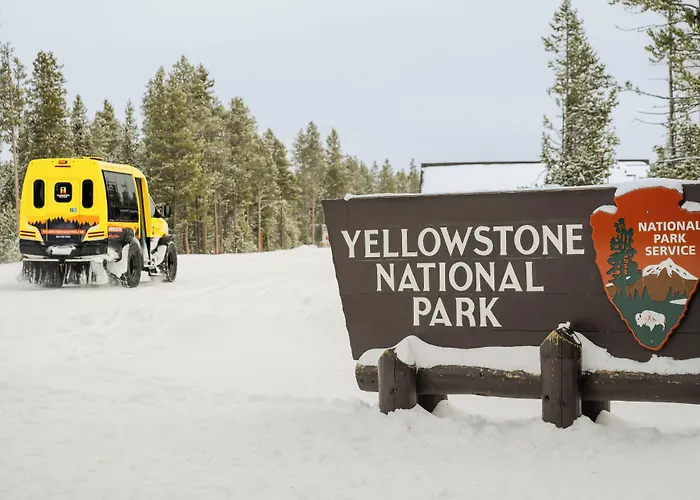 Explorer Cabins At Yellowstone