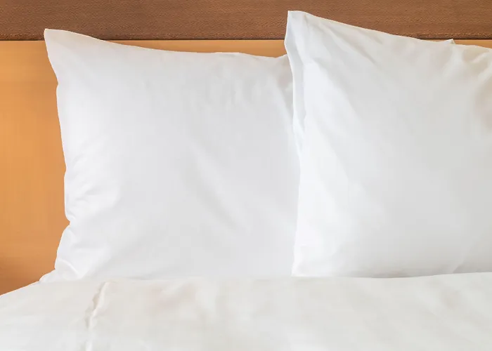 Holiday Inn Express & Suites Elkton - University Area By Ihg