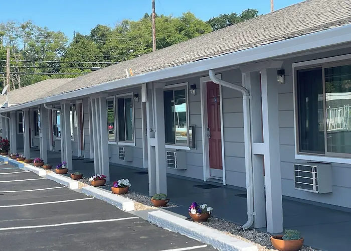 Lark Motel Willits
