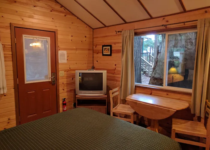 Emerald Forest Cabins