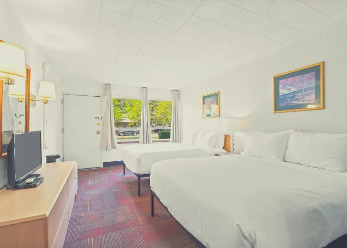 Stardust Motel Wallace