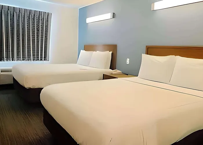 Comfort Inn Rohnert Park Sonoma County