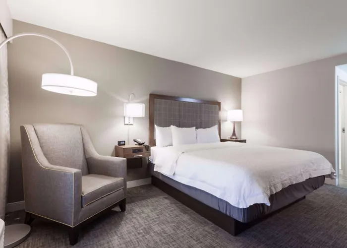 Hampton Inn & Suites Dallas Dfw Airport North Grapevine