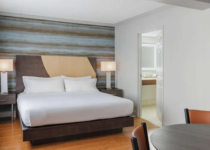 Hotel Trilogy Albany Airport, Tapestry Collection By Hilton