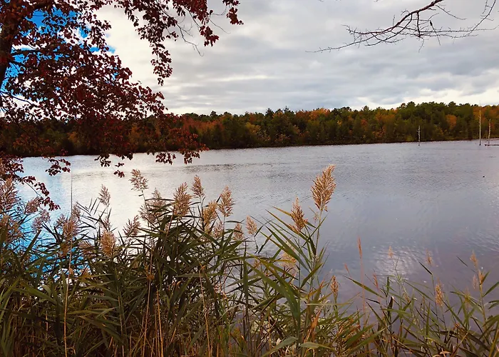 Swan Lake Resort