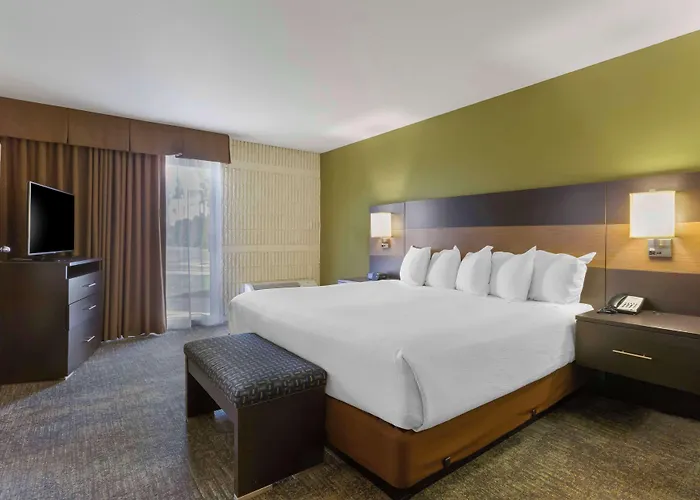 Best Western Plus University Inn