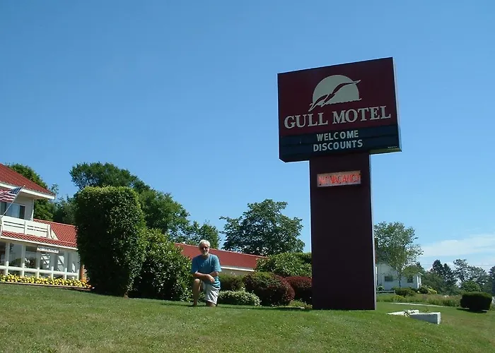 The Gull Motel, Belfast