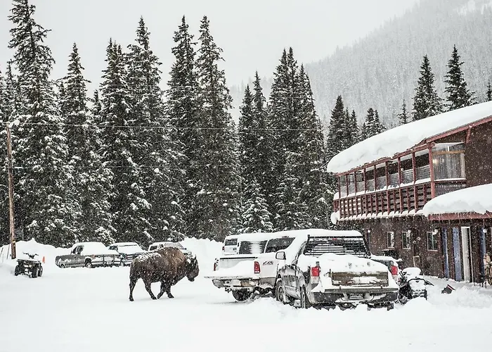 High Country Motel And Cabins