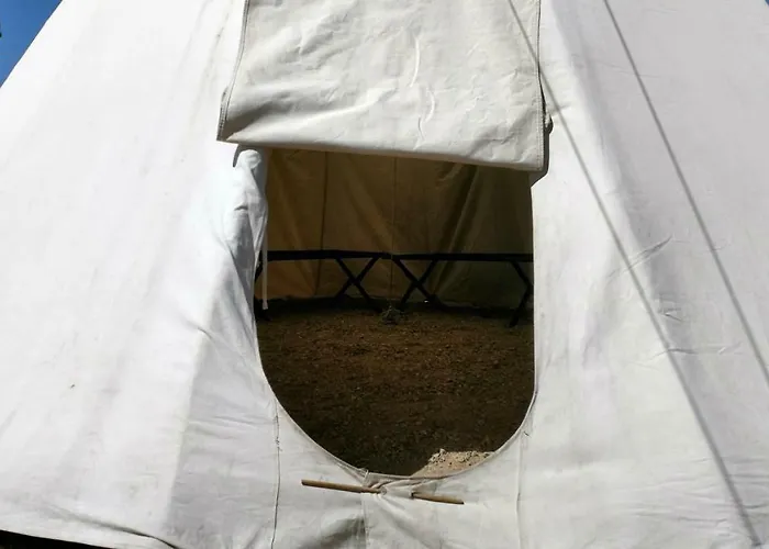 Tipi